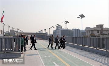 بازدید مدیرکل حوزه شهردار تهران از باغ راه حضرت زهرا(س) 39