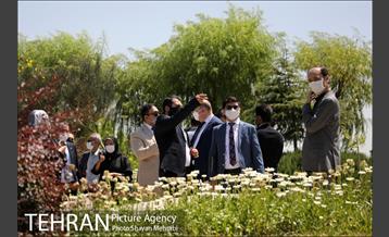 آیین احیای بوستان اکو 29