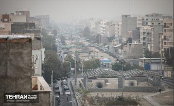 بازدید شهردار تهران از باغ‌راه حضرت فاطمه زهرا (س) 8