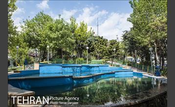 بوستان آزادگان 43