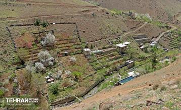 هوای بهاری منطقه 22 40