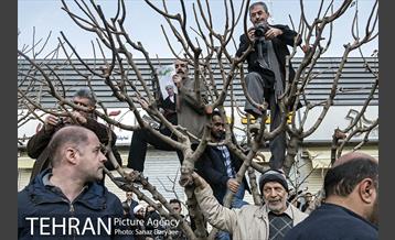 تشییع پیکر آیت الله هاشمی رفسنجانی رییس مجمع تشخیص مصلحت نظام -5 9