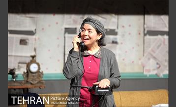 نمایش اثر پرتوهای گاما بر گل های همیشه بهار 8