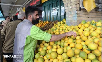 تره‌بار یلدایی 19