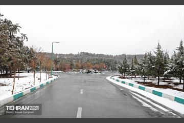 روز برفی در بوستان جنگلی سرخه‌حصار 17