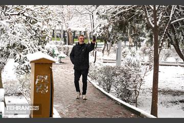 روز برفی تهران - 3 20