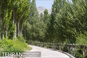 بوستان تندرستی 6