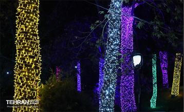 جشنواره «نور در یلدای ایرانی» در بوستان ملت 2