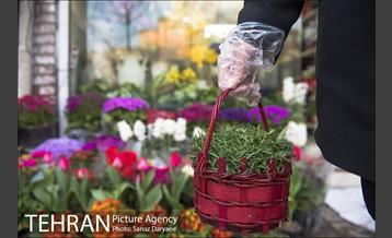 روزهای پایانی سال 19