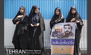 تشییع پیکر مطهر شهید محسن حججی 21