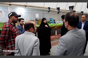 بازدید مدیرعامل سازمان میادین میوه و تره بار شهرداری تهران از ظرفیت های منطقه هشت 15