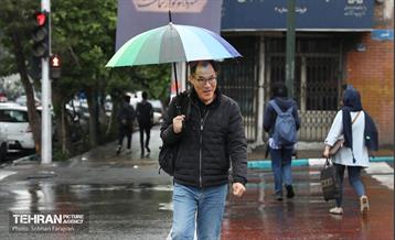 بارش باران بهاری در تهران - 1 8
