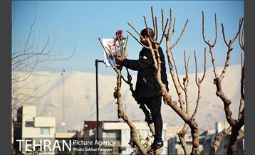 آیین تشییع «سردار قاسم سلیمانی» -3 13