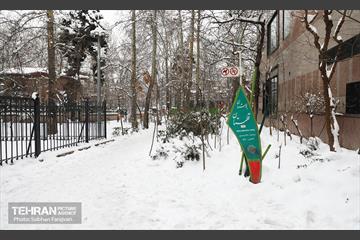 عصر زمستانی تهران 12