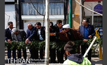 مراسم احیای درختان خیابان ولیعصر (عج) 16