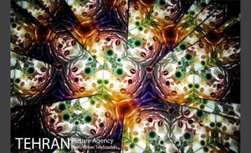 شبگردی اصحاب رسانه در باغ کتاب تهران 17