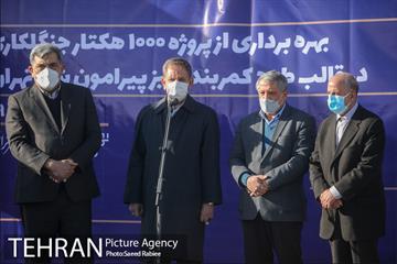 بازدید و افتتاح پروژه جنگل کاری 1000هکتاری در بوستان جنگلی تلو 23