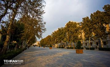 پاییز میدان مشق 5