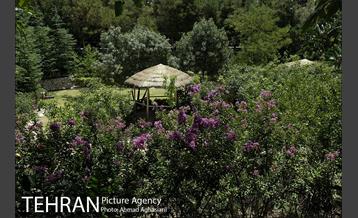 باغ پرندگان تهران 28