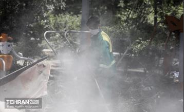 بوستان ایثار در منطقه ۲۰ به چرخه خدمت بازگشت 24