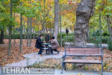 پاییز پارک شهر 29