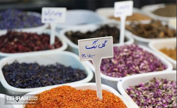 دوازدهمین جشنواره انار  23