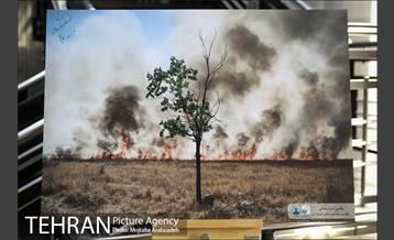 آیین تجلیل از سفیران هوای پاک شهر تهران 31