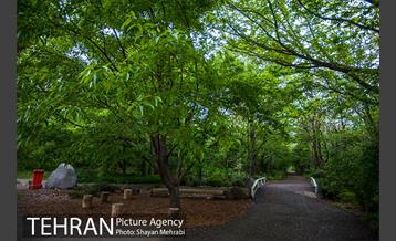 باغ گیاه‌شناسی ملی ایران 21