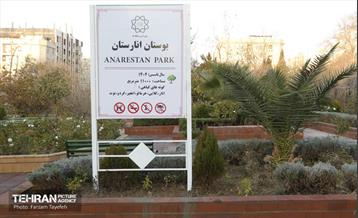 هشتادوششمین رویداد امیدوافتخار 42