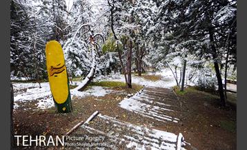 بارش برف پاییزی در بوستان طالقانی 16
