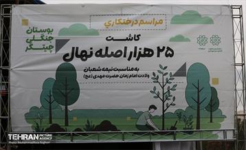 آغاز کاشت ۲۵ هزار اصله نهال غیرمثمر در بوستان چیتگر 17