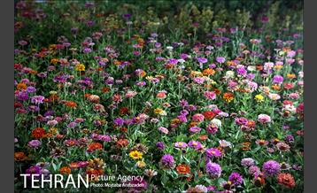 پلازای شهری میدان هفتم تیر 11