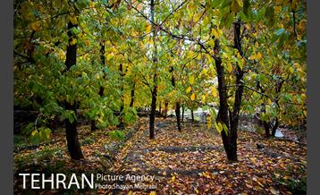 طبیعت پاییزی روستای سنگان 22