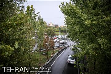 بارش باران پاییزی در تهران 2
