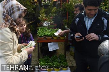 بازار گل شهید محلاتی 23