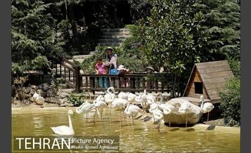 افتتاح اولین "باغچه خبر" در تهران 16