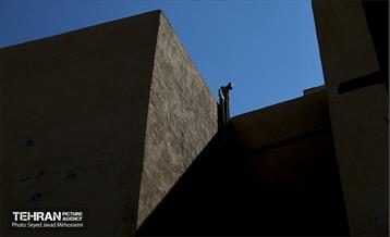 بازدید از بافت تاریخی و پروژه‌های فعال منطقه ۱۲ تهران 64