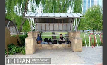 اولین جشنواره شهروند نقاش 1