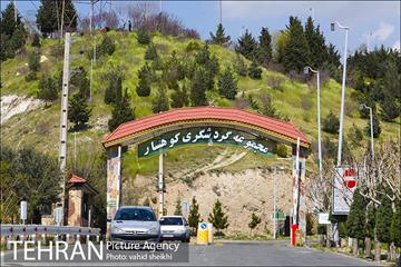بوستان جنگلی کوهسار 1