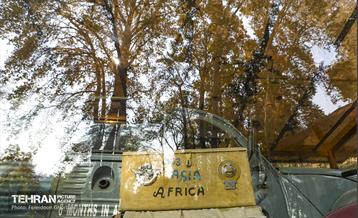 سمفونی رنگ های پاییزی - کاخ سعدآباد 1