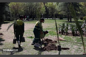 آیین درخت‌کاری به مناسبت روز طبیعت 21