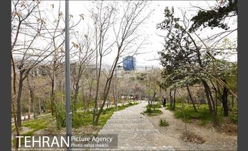 بوستان طالقانی 11