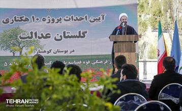 آیین غرس درخت در کوهسار با حضور معاون فرهنگی قوه قضاییه 2