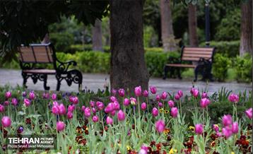 تیتر هوای بهاری تهران 15