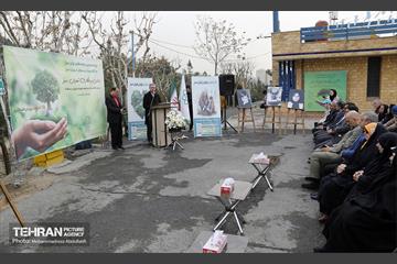جشن درختکاری در منطقه ۵ 20