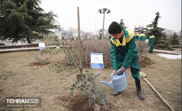 آئین روز درختکاری با حضور سفیران و نمایندگان کشورهای خارجی 5