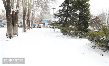 عصر زمستانی تهران 9