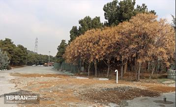 مخزن-آب-بوستان-بانوان