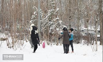 روز برفی تهران - 2 6