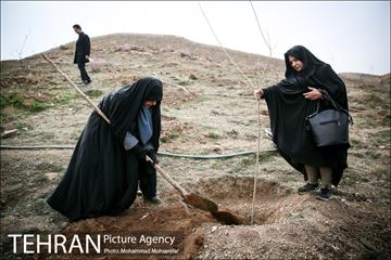 آئین کاشت نهال در بوستان جنگلی سرخه حصار 17